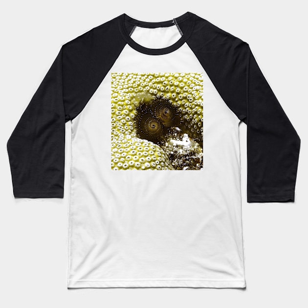 Black Christmas Tree Worm Baseball T-Shirt by Scubagirlamy